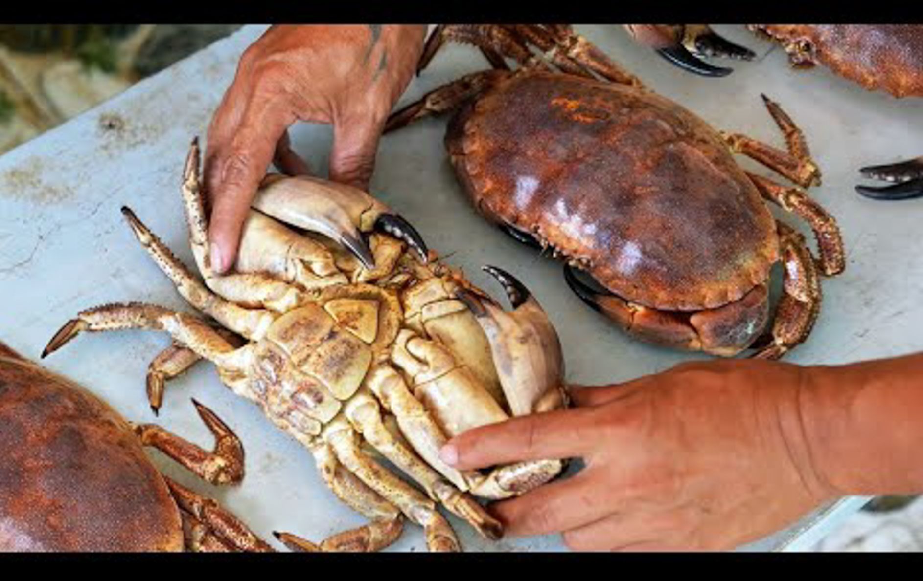 越南美食 - 珍宝蟹 大蟹海鲜