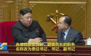 下载视频: 金正恩被推举为朝鲜劳动党总书记