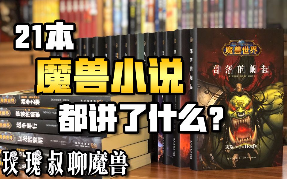 【玫瑰叔聊魔兽】21本魔兽小说都讲了什么?哔哩哔哩bilibili