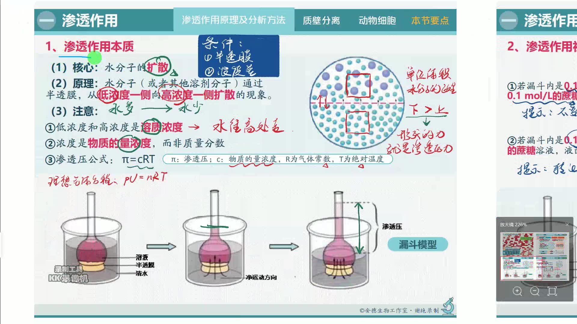 走向高考生物满分【德叔生物笔记】第十一讲渗透作用哔哩哔哩bilibili