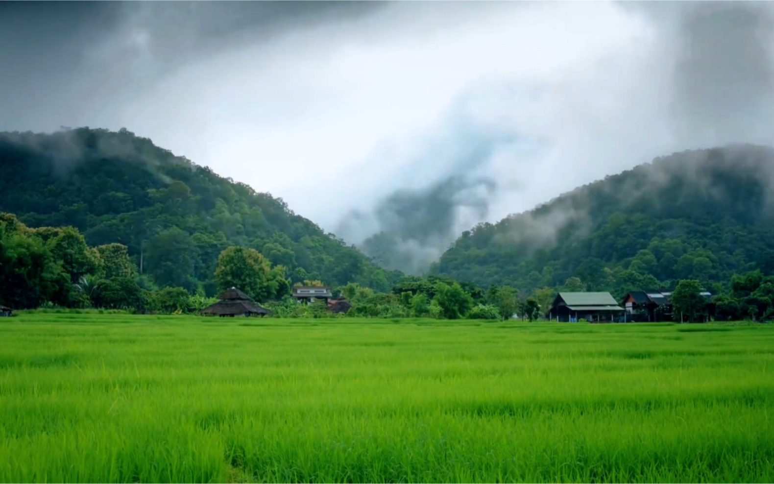 [图]听一曲《山野幽居》清雅逍遥，眼前一片旷野，自然的韵味让人沉醉