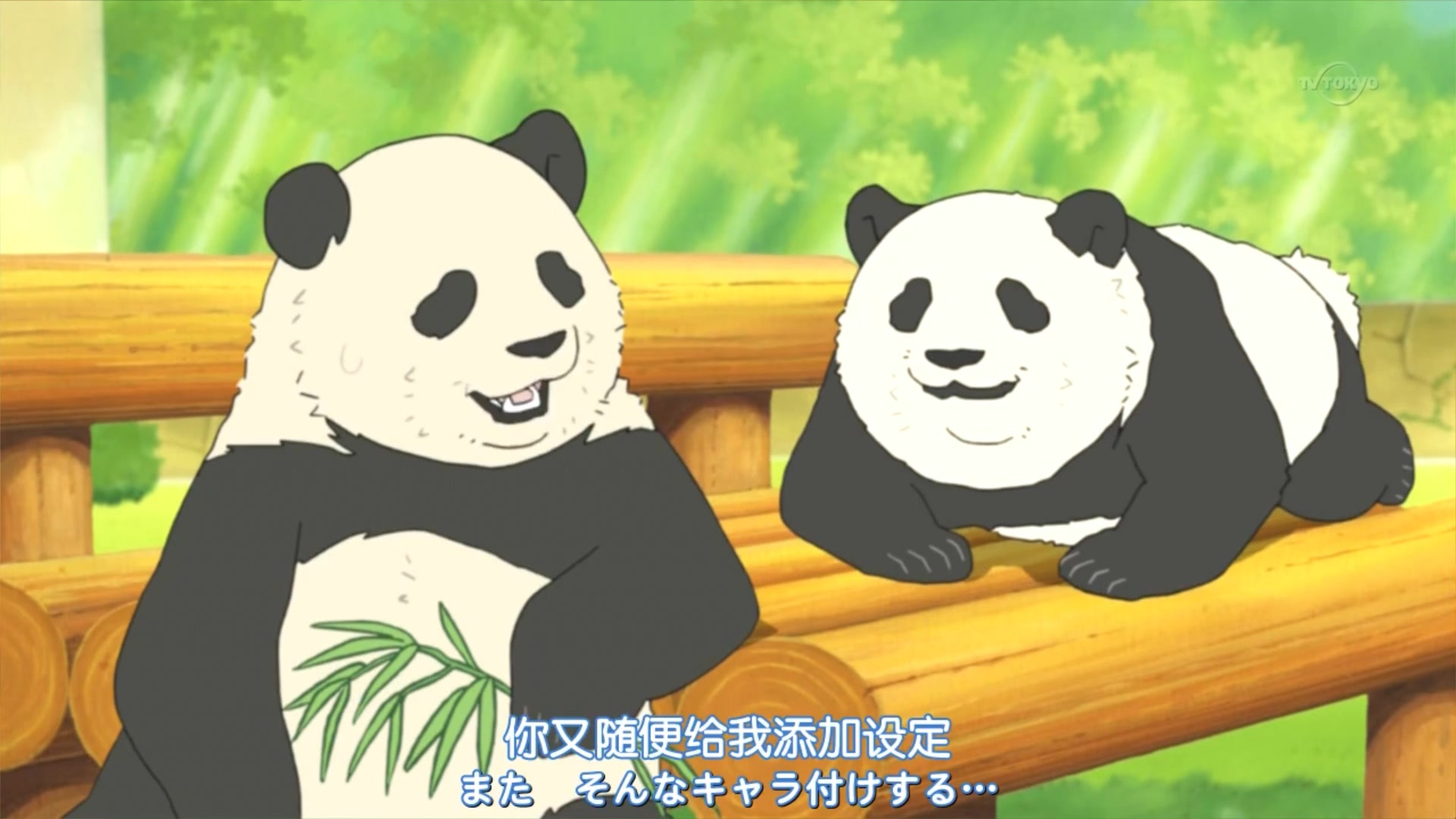 白熊咖啡厅胖达教你谈恋爱