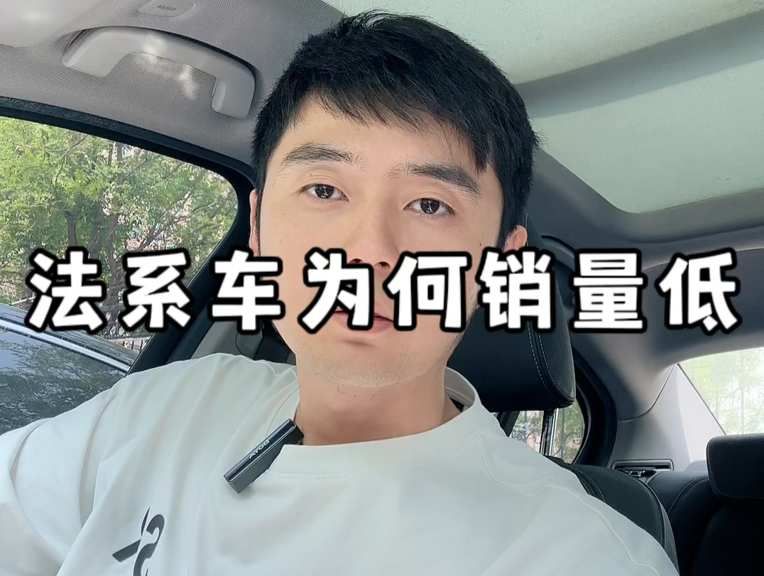 网上吹爆的法系车 现实中却没啥人买?哔哩哔哩bilibili