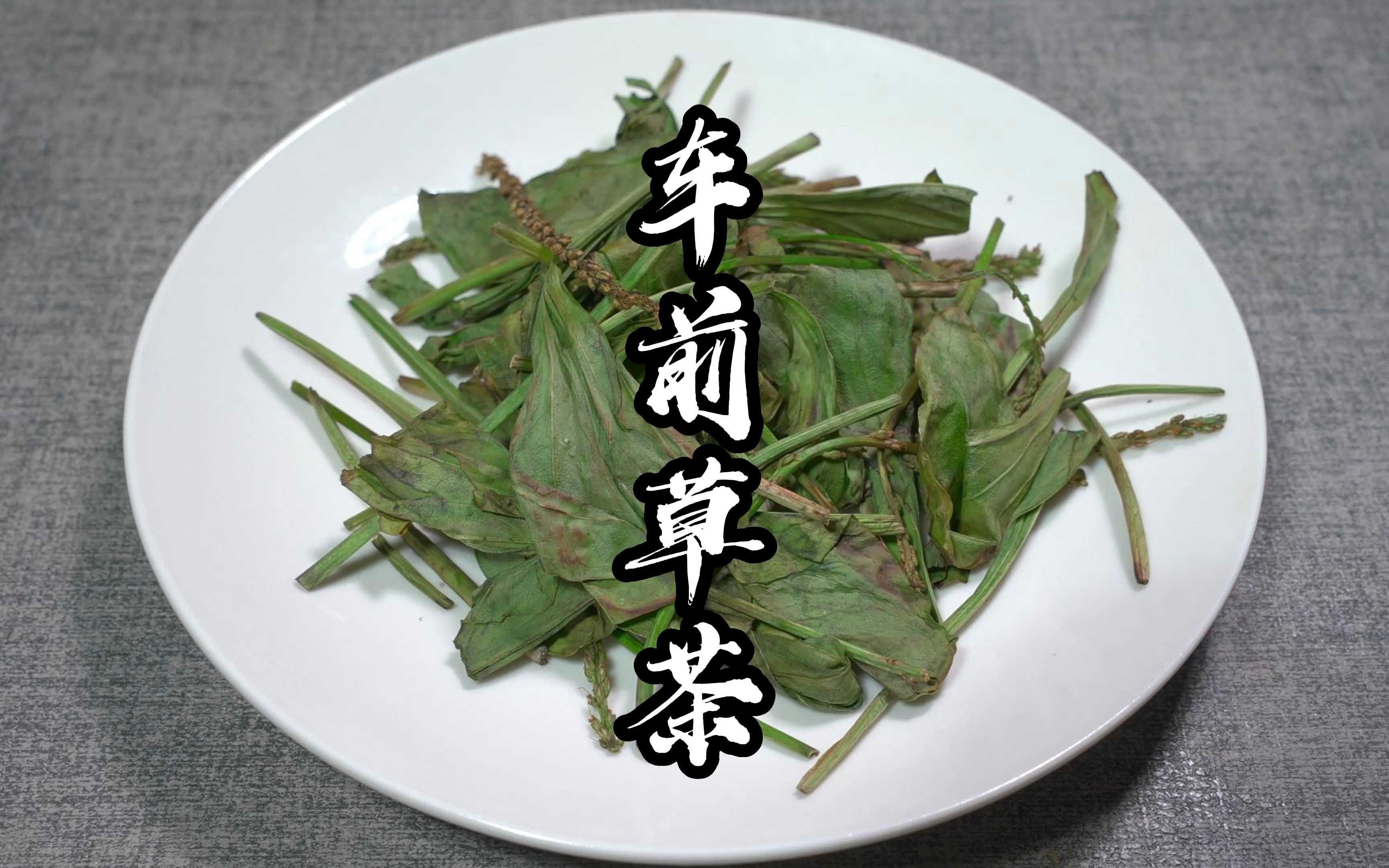 车前草茶的制作方法,50多年经验分享毫无保留,泡水喝好处多多