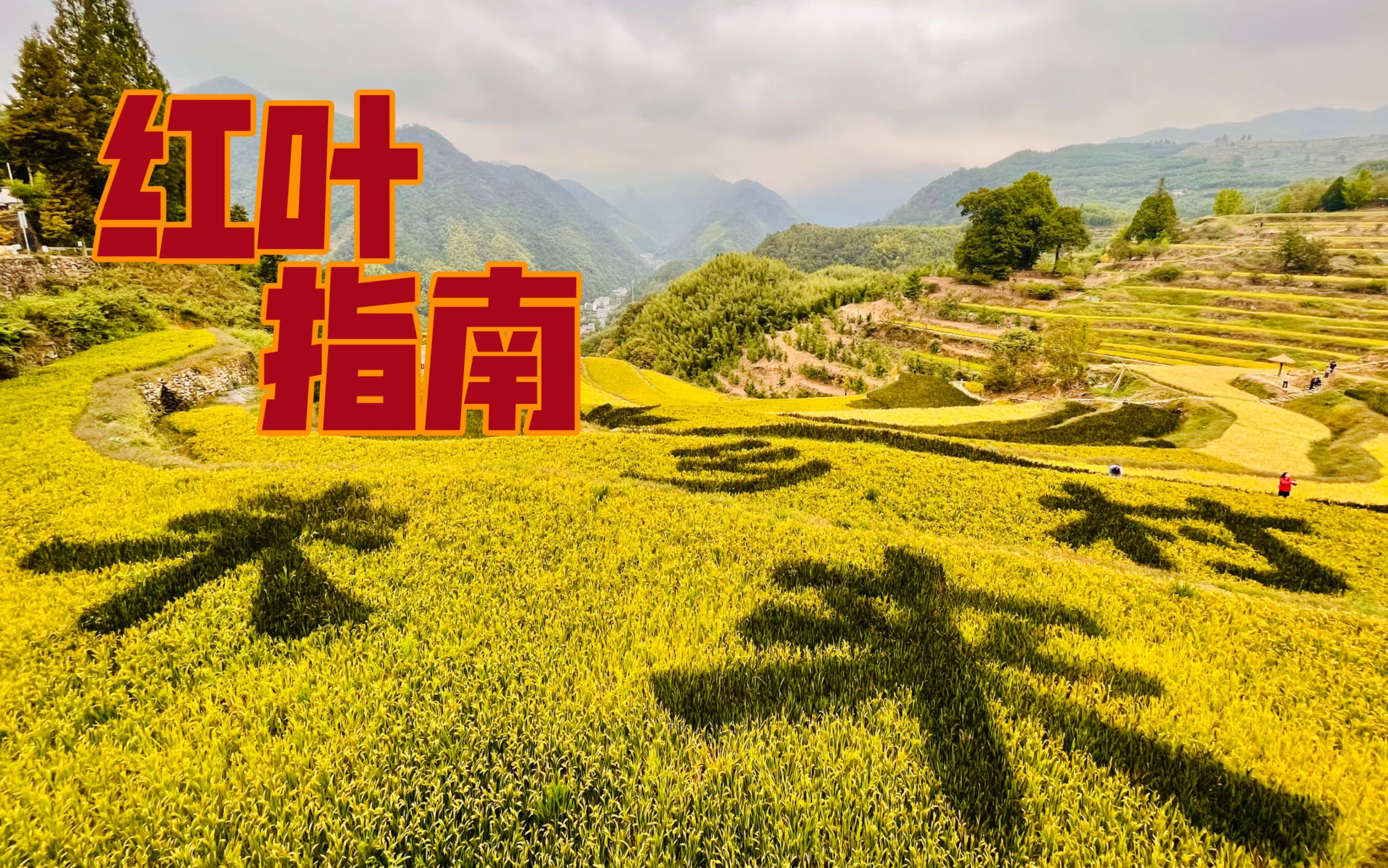 打卡了红叶指南村,乡村振兴做的真棒!