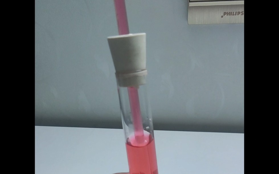 观察物体的微小形变