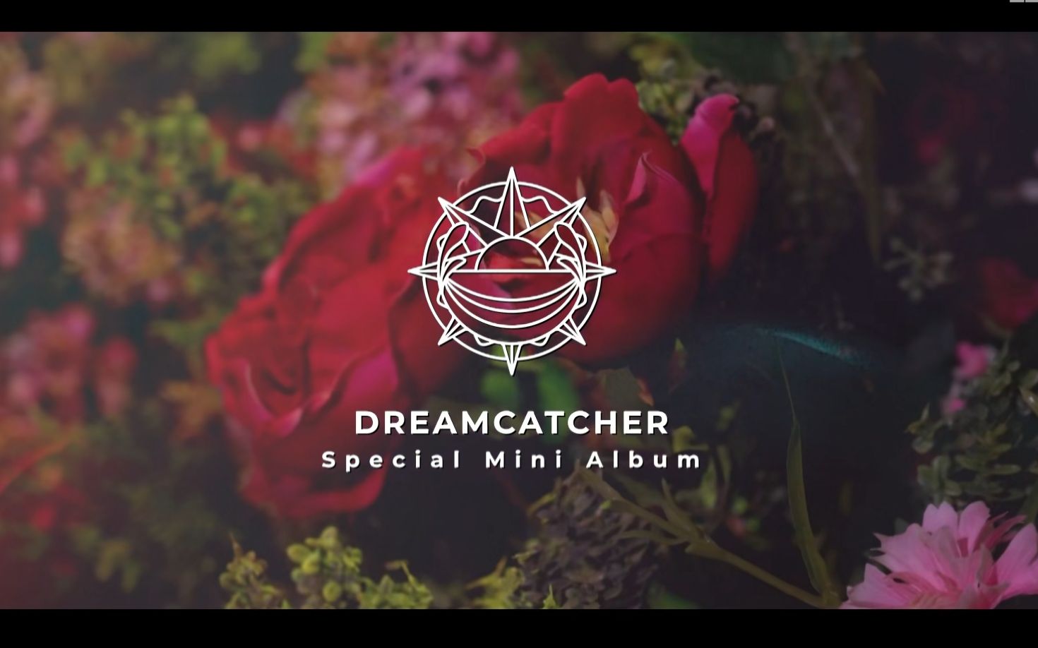 dreamcatcher最新回归because首舞台