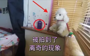 Télécharger la video: 被拍到的离奇的现象