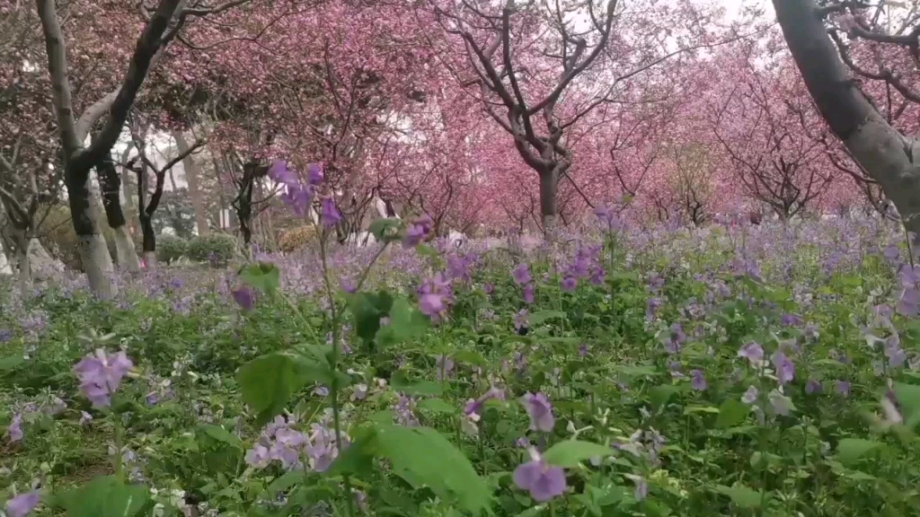 [图]【面具斜风细雨不须归】视频加载中，速速查收惊喜！