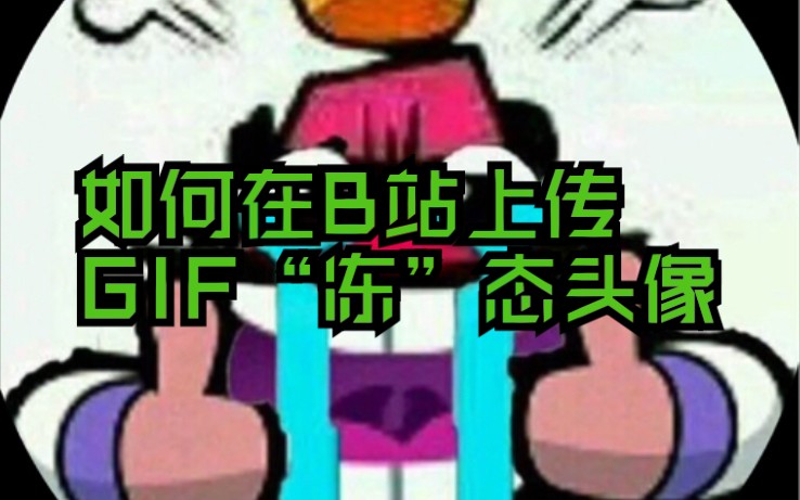 如何在B站上传GIF“冻”态头像哔哩哔哩bilibili