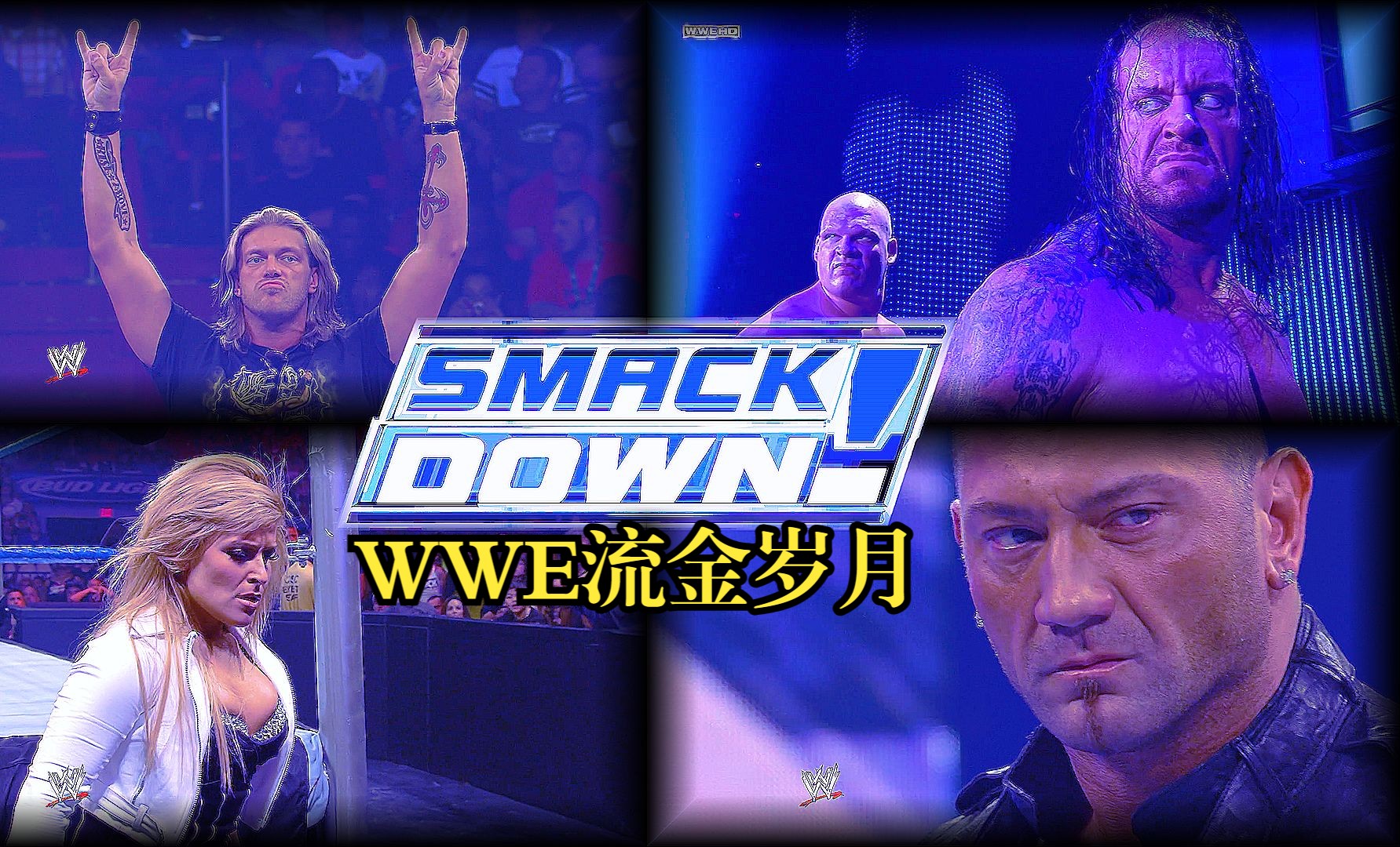 【WWE SD 08.4.04】娜塔莉亚首秀! 毁灭兄弟大战!哔哩哔哩bilibili