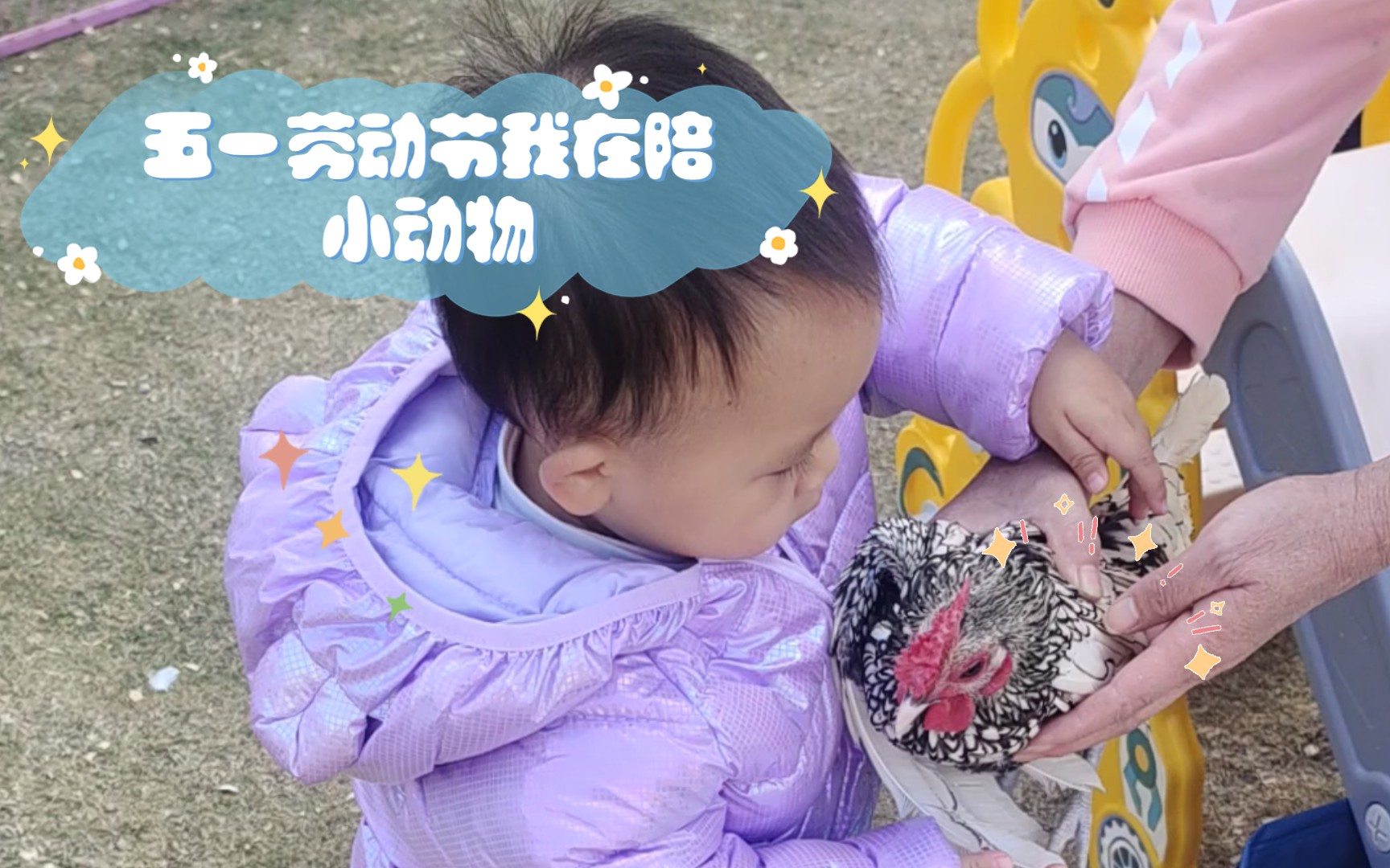 五一劳动节我在陪小动物