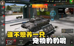 Download Video: WOTB：来看看15岁车长的豹1，偷炮型中坦该如何操作？