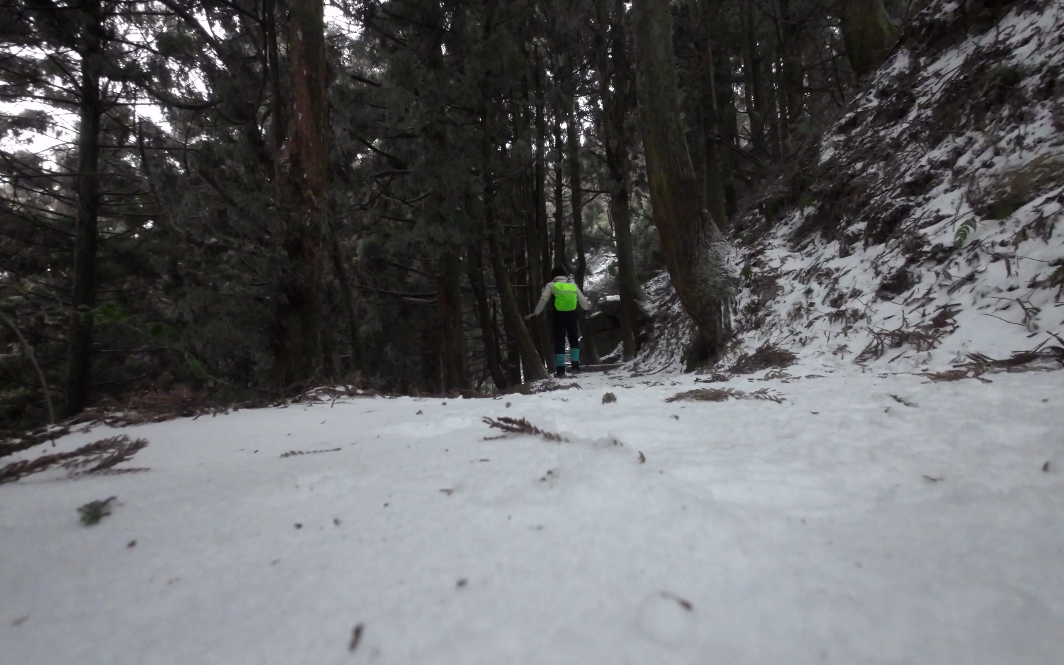 大雪中的衡山雾凇登顶