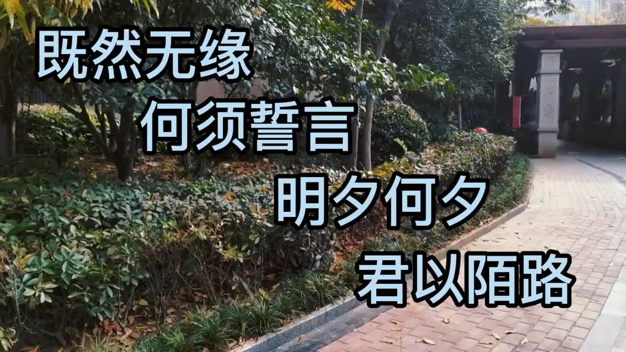 既然无缘何须誓言明夕何夕君以陌路
