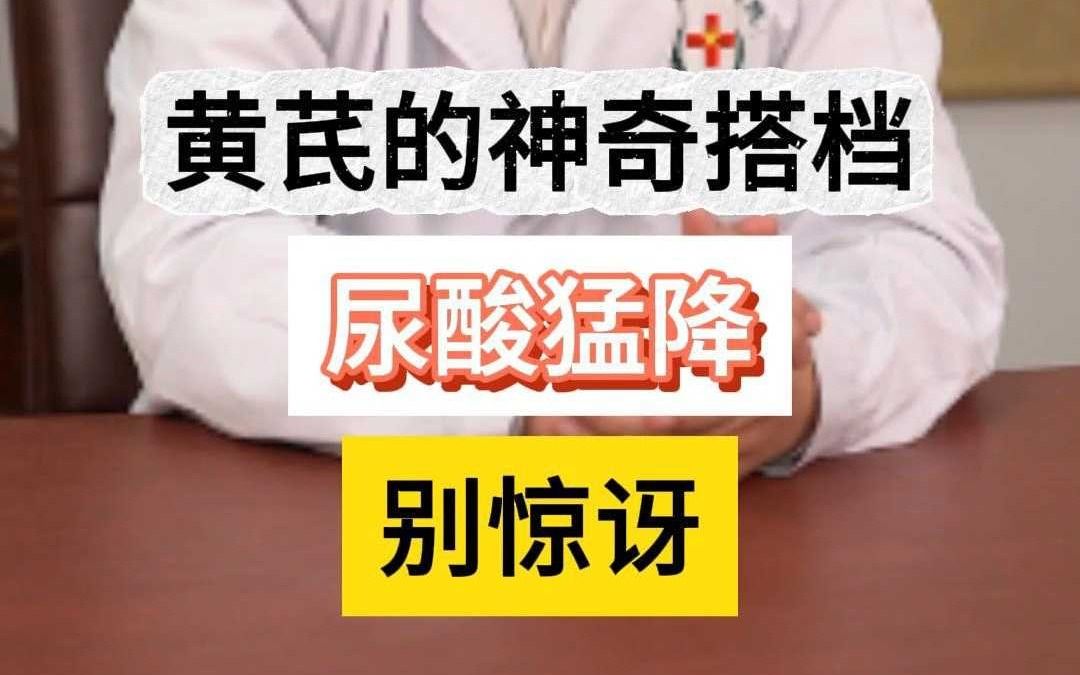 痛风专家黄川云 黄芪的神奇搭档,尿酸猛降别惊讶!哔哩哔哩bilibili