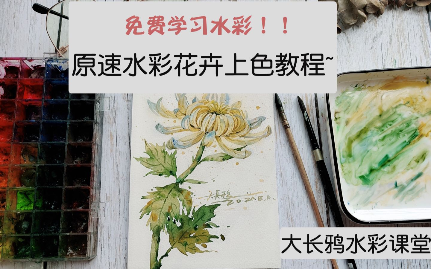 【水彩教程】原速水彩花卉上色教程/绘菊花~哔哩哔哩bilibili