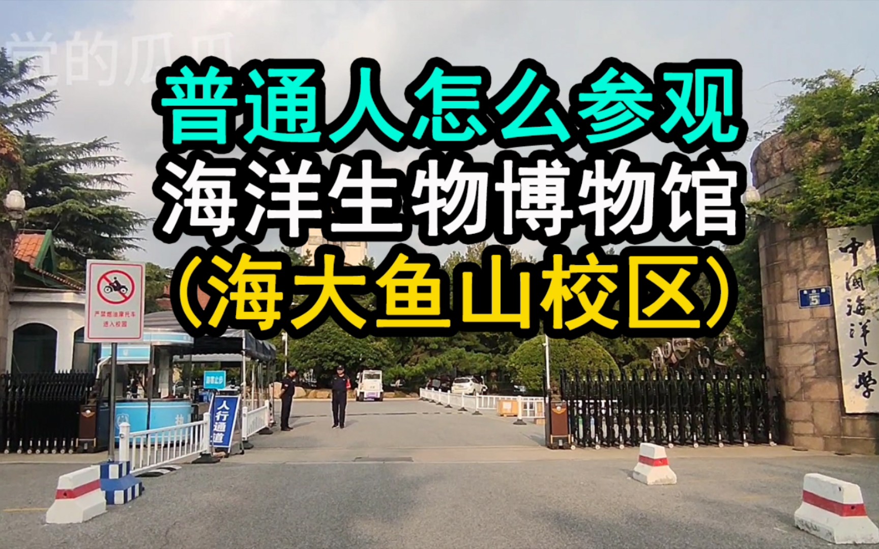 一个普通人怎么才能参观海洋生物博物馆(中国海洋大学鱼山校区)哔哩哔哩bilibili