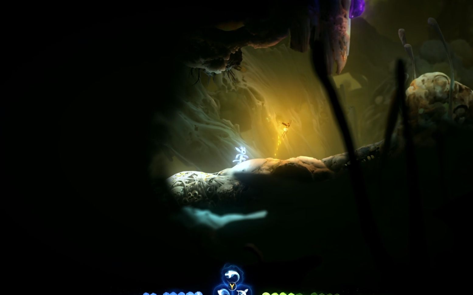 活动作品波导奥日与萤火意志08黑暗中摸索