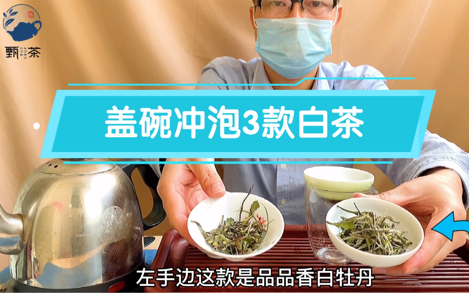 用盖碗泡2款新白茶,1款新工艺白茶哔哩哔哩bilibili