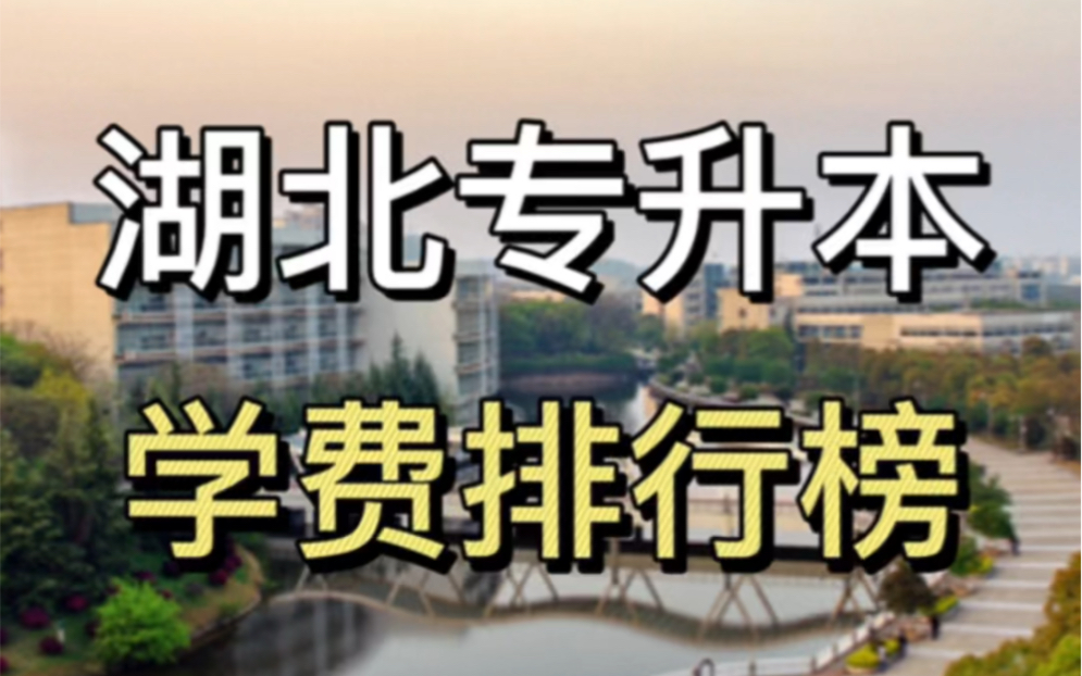 湖北这所院校学费只要500一年?哔哩哔哩bilibili