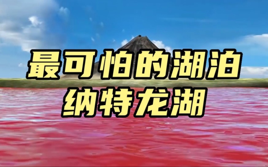 世界最可怕的禁地,纳特龙湖,到底有多可怕?看得我直冒冷汗!哔哩哔哩bilibili