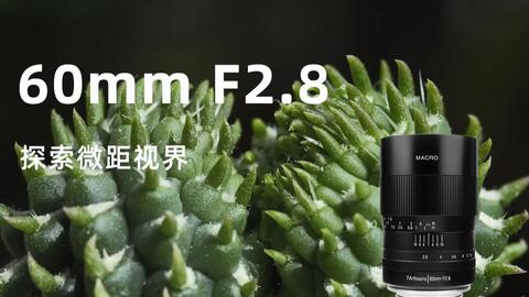 国外测评】最值得买的超便宜微距镜头—七工匠60mm F2.8_哔哩哔哩_bilibili