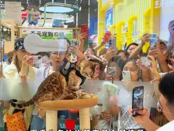 Download Video: 带大家骑着猪蹄儿去逛亚宠展！