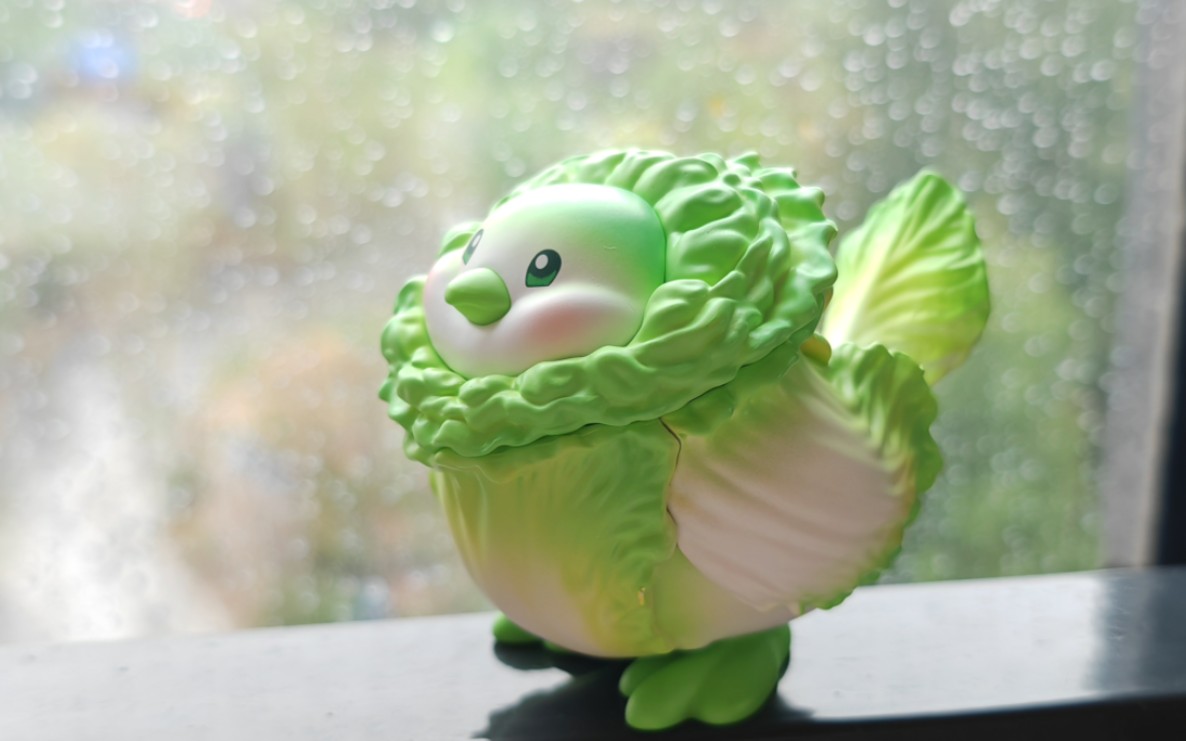 蔬菜精灵-小菜鸟 开箱