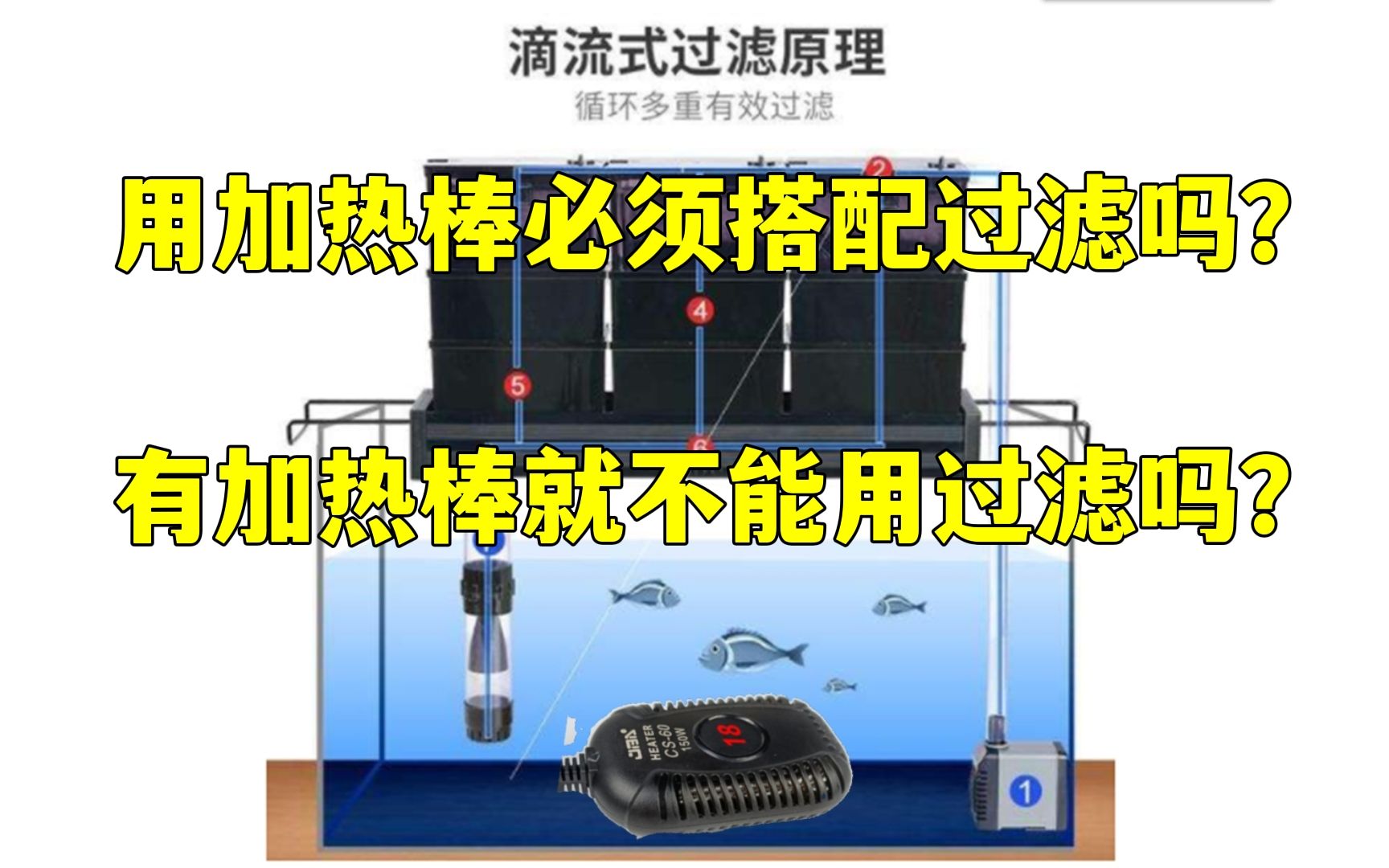 【加热棒专题一】龟缸加热棒和过滤的常见问题,以及加热棒最佳摆放位置.哔哩哔哩bilibili