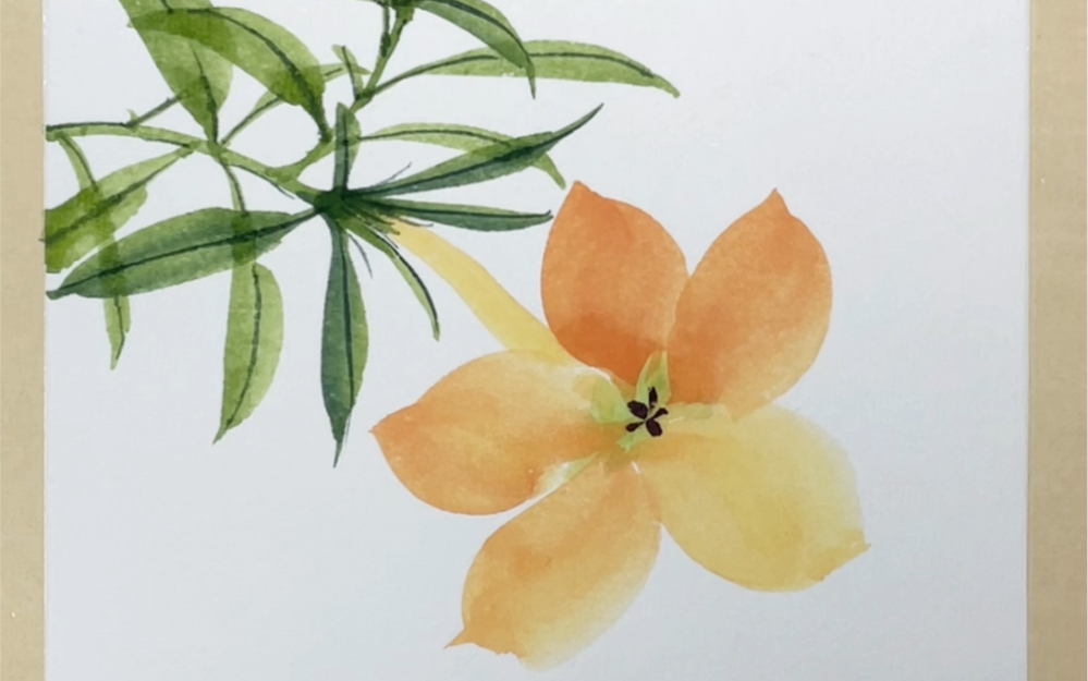 国画-软枝黄蝉花-画法