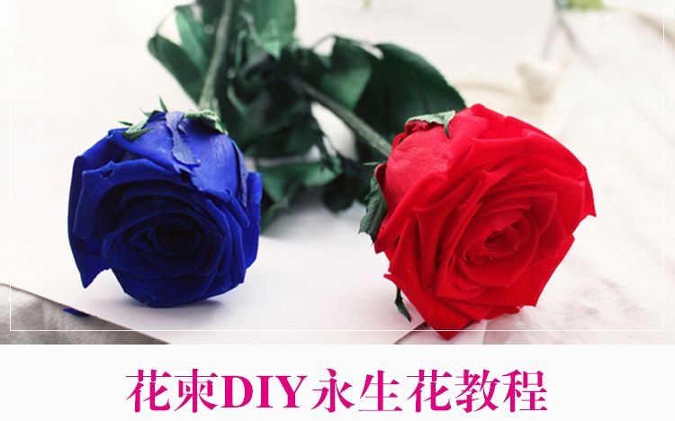 花柬DIY永生花制作教程哔哩哔哩bilibili