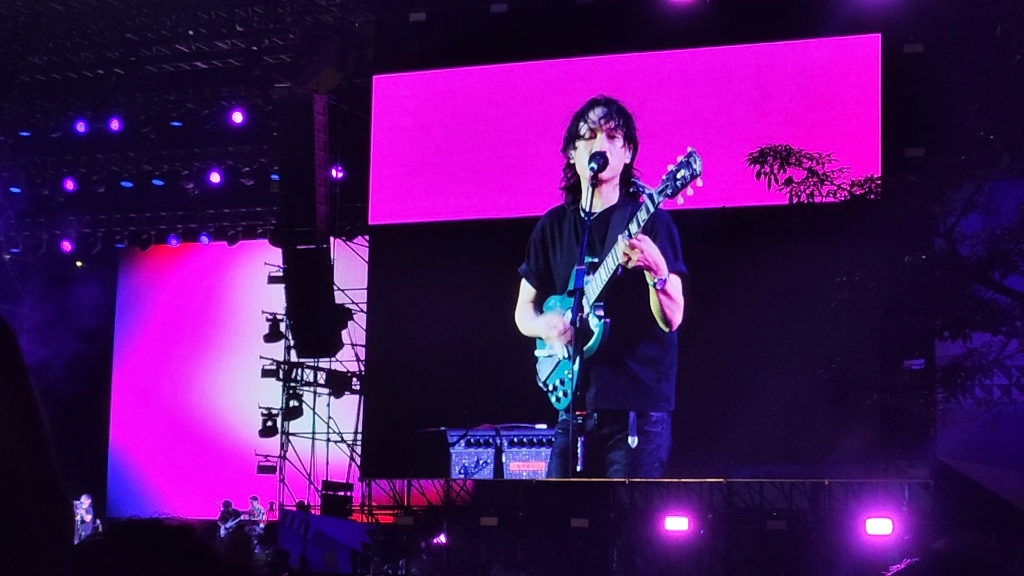 [自存]10.4郭顶东莞草莓音乐节