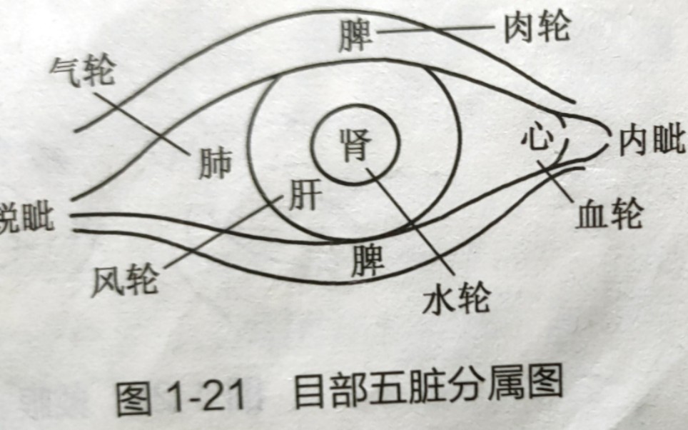 中医五轮学说诊断眼科或内科疾病