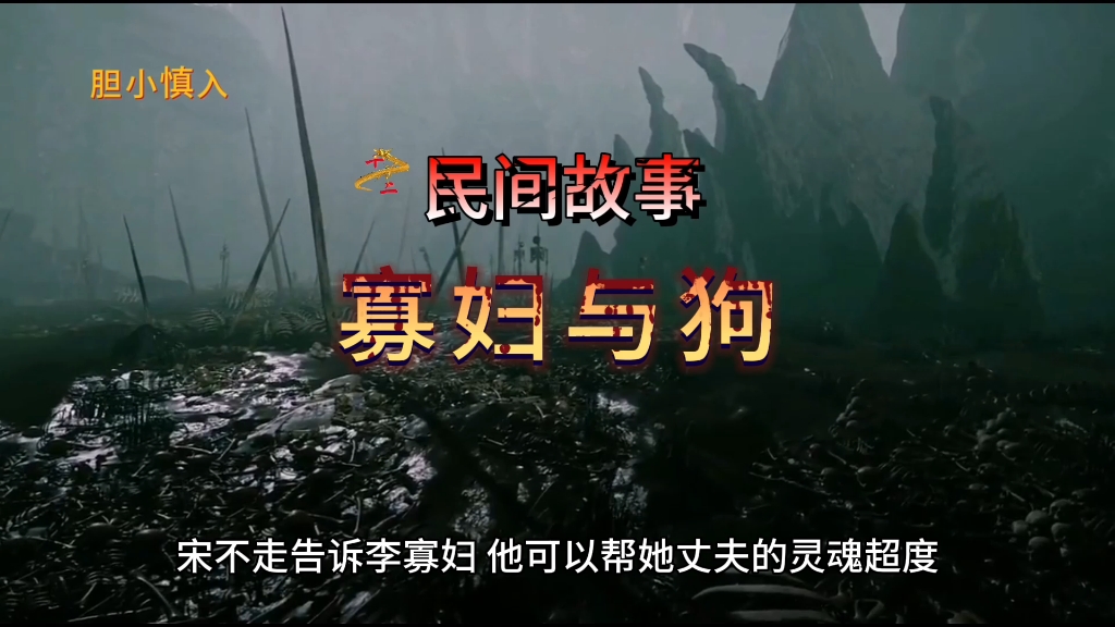 《寡妇与狗》的观众反馈