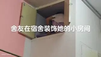 仓鼠舍友哈哈哈哈哈哈