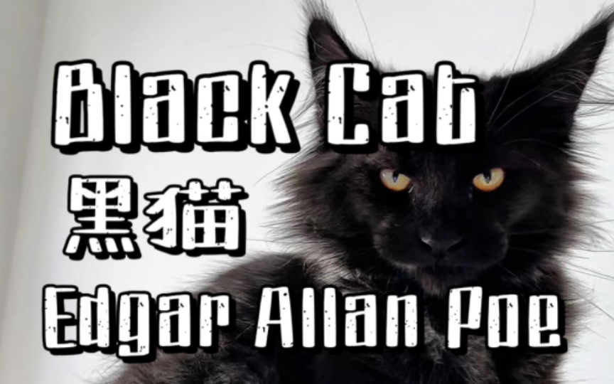 【爱伦坡短篇小说】Black Cat 黑猫|Edgar Allan Poe 爱伦坡哔哩哔哩bilibili