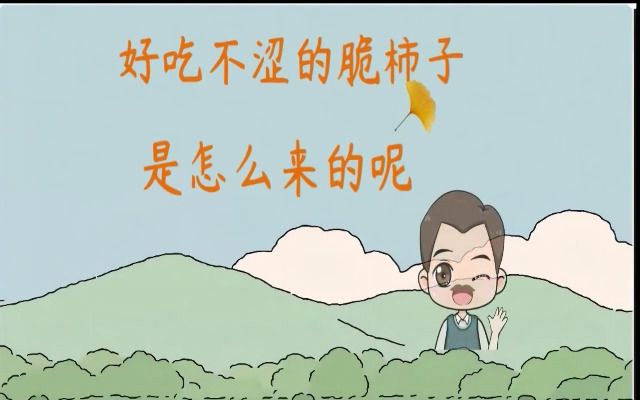 好吃不涩的脆柿子是怎么来的哔哩哔哩bilibili