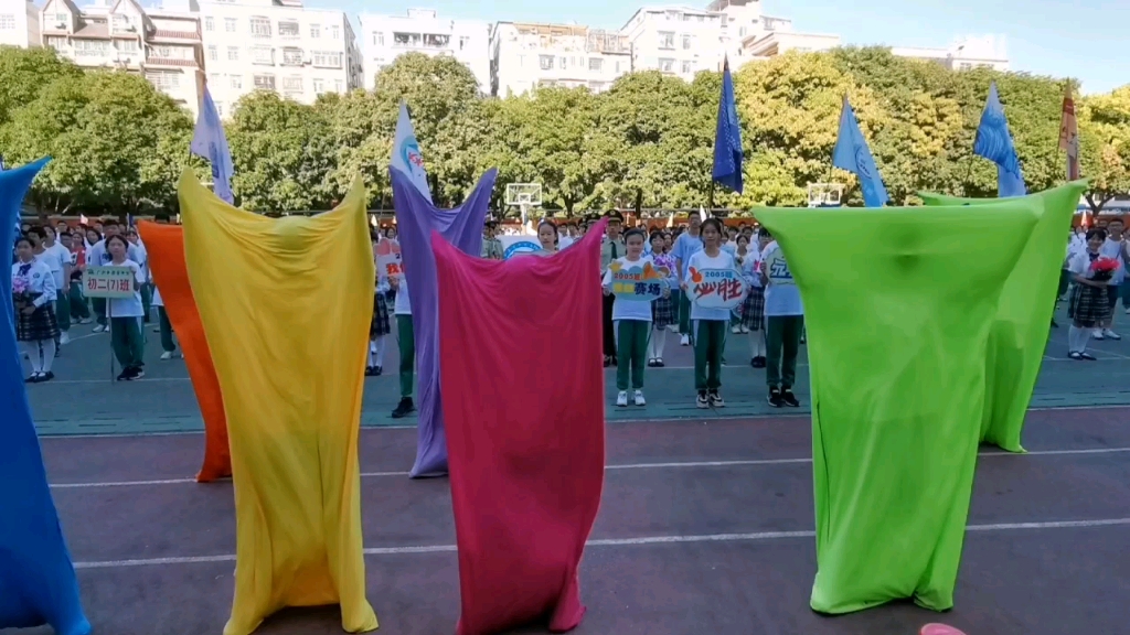 广州市泰安中学2005校运会开幕式表演