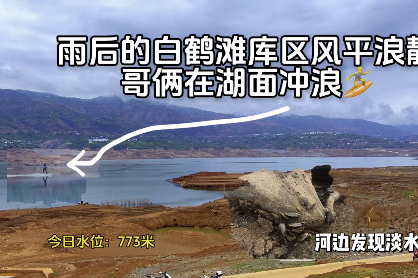 干旱许久的白鹤滩库区终于下雨,有人在其冲浪,河边发现淡水贻贝哔哩哔哩bilibili