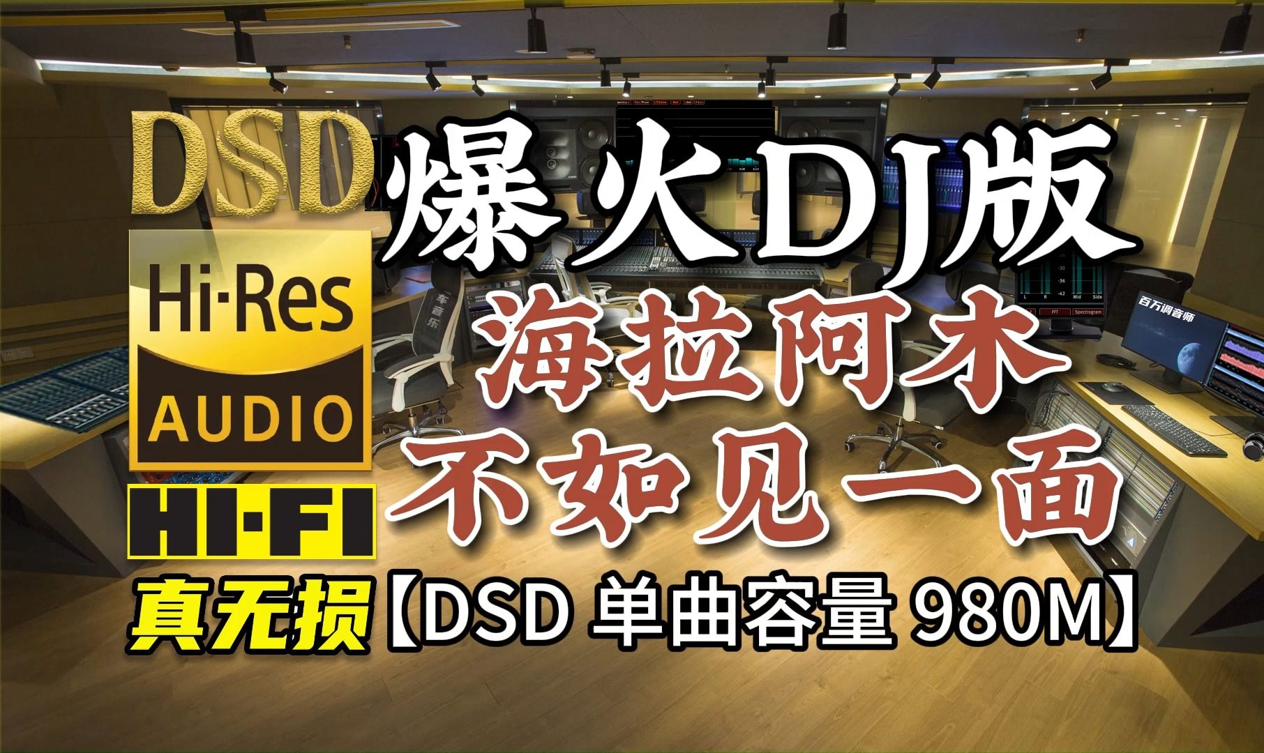 爆火DJ版，海来阿木《不如见一面》DSD完整版980M，百万调音师专业录音棚制作，顶级hifi无损音乐