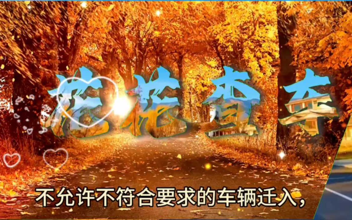 汽车的排放标准查询哔哩哔哩bilibili