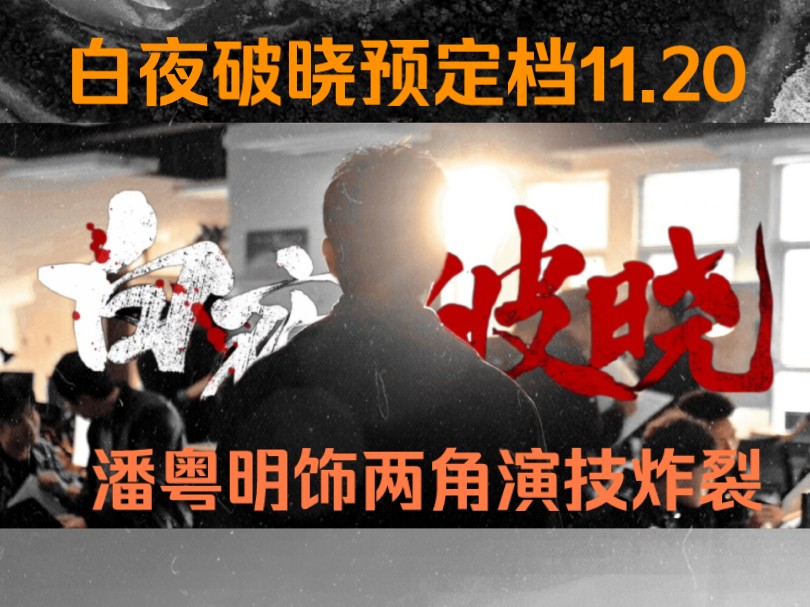 白夜破晓定档11月20号,潘粤明一人分饰两角演技炸裂#白夜追凶人物介绍,白夜破晓为什么没有高亚楠哔哩哔哩bilibili