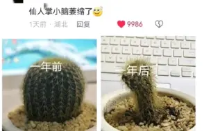 Video herunterladen: 这一刻感受到了植物的无力感哈哈哈哈