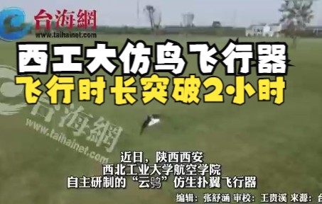 西工大仿鸟飞行器飞行时长突破2小时 可抗4级风
