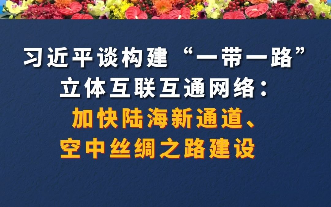 习近平谈构建“一带一路”立体互联互通网络:加快陆海新通道、空中丝绸之路建设哔哩哔哩bilibili