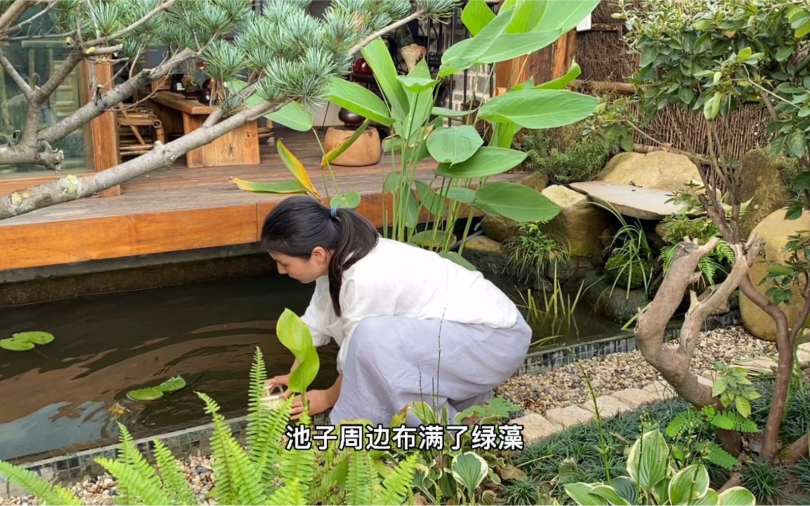 [图]朋友们，想要过田园生活的朋友们一定要有心理准备哦，有苦有甜