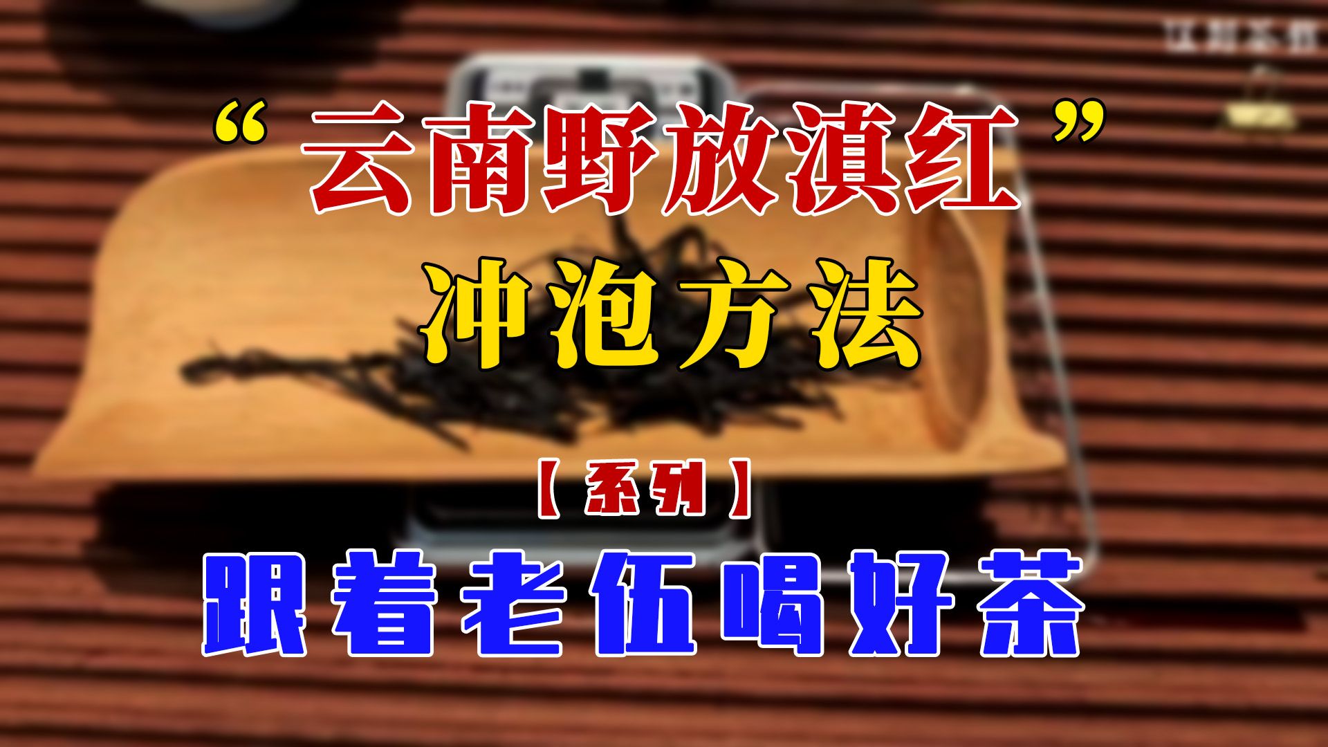 【跟着老伍喝好茶】云南野放滇红采自百年古树,伍哥教你如何冲泡~哔哩哔哩bilibili