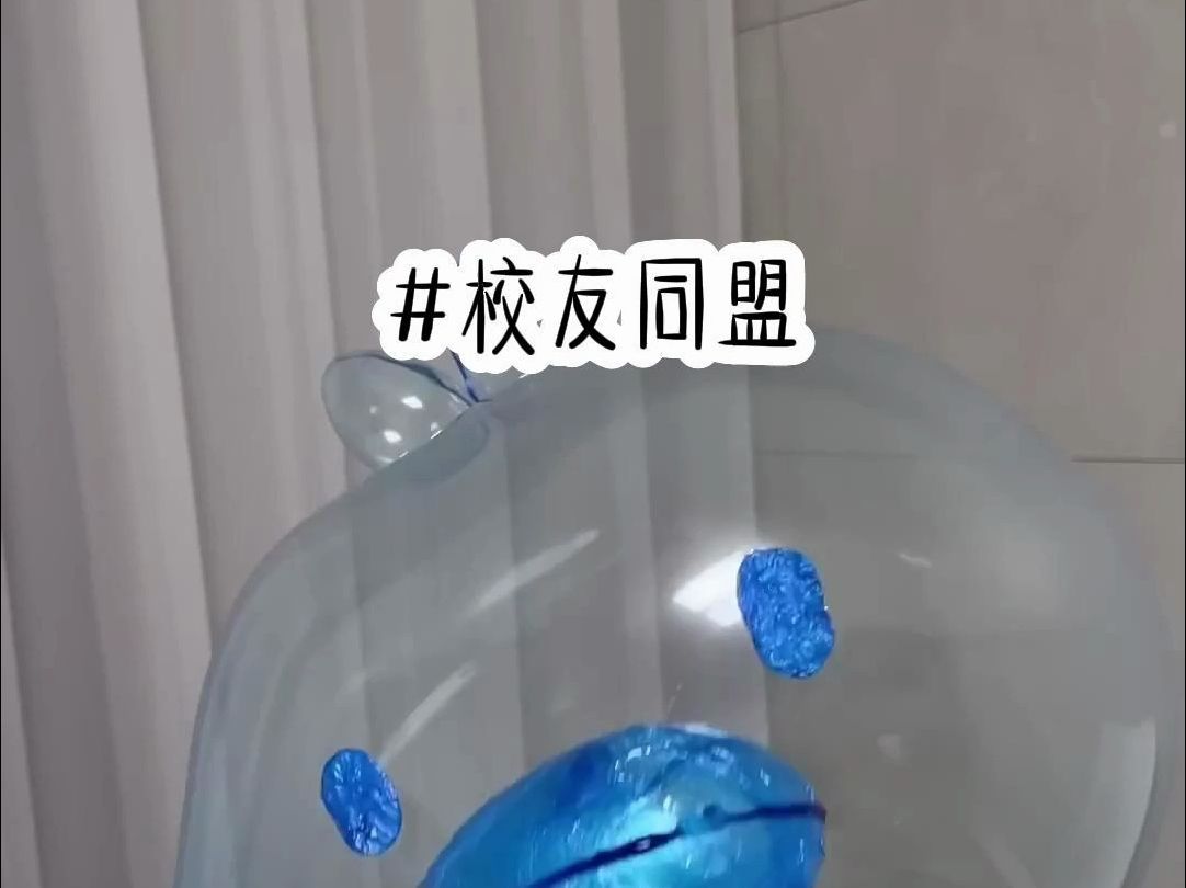 校友同盟哔哩哔哩bilibili