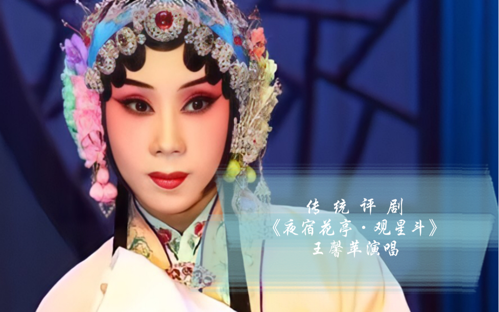 王馨苹演唱《夜宿花亭·观星斗》